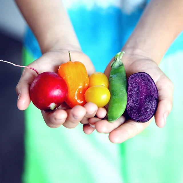 Hands holding a variety of colorful fresh vegetables